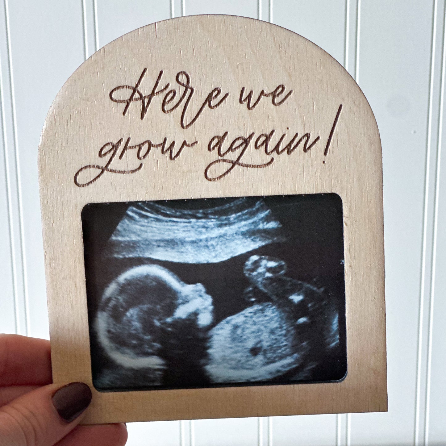 Here we grow again Ultrasound photo magnet