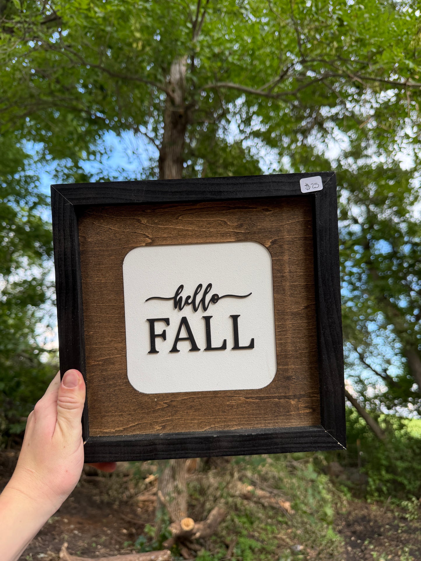Hello Fall Wood Sign 10x10